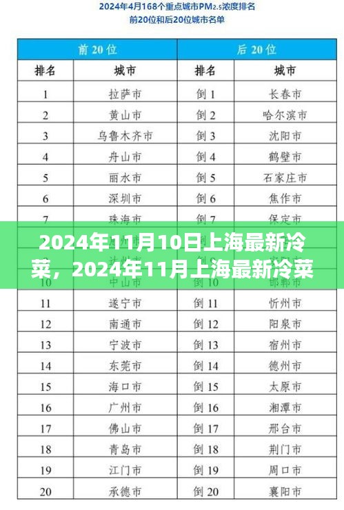 2024年11月上海最新冷菜评测，品质、口感与市场定位深度分析