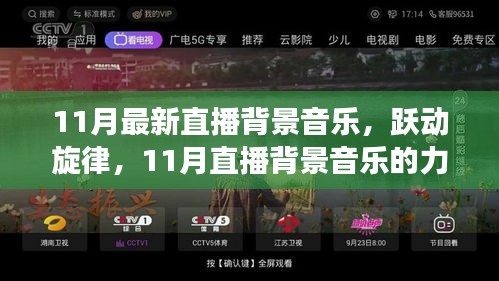 11月直播背景音乐大赏，跃动旋律，自信与成长的协奏曲