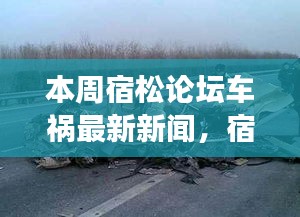 本周宿松论坛车祸事件，事故背景、进展与影响的深度解析最新新闻