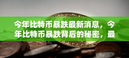 今年比特币暴跌背后的秘密与深度解析，最新消息一览