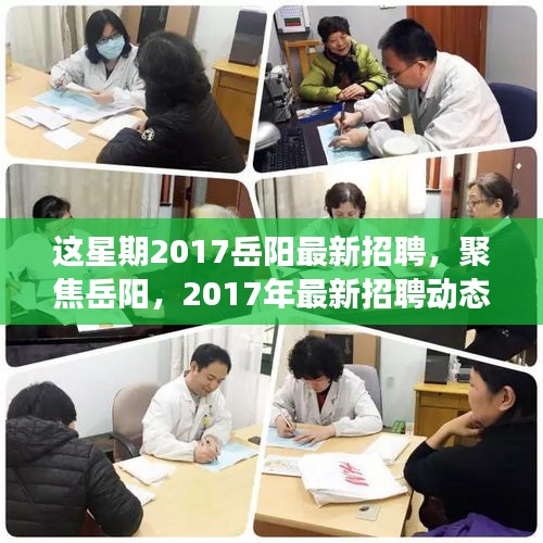 岳阳最新招聘动态及职业发展趋势聚焦 2017年招聘热点