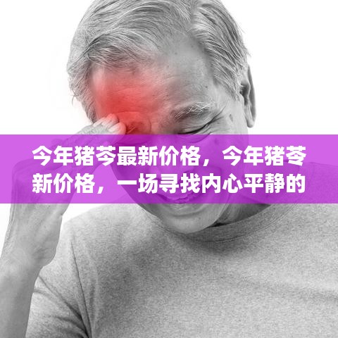 猪苓最新价格探寻之旅，寻找内心平静的奇妙经历