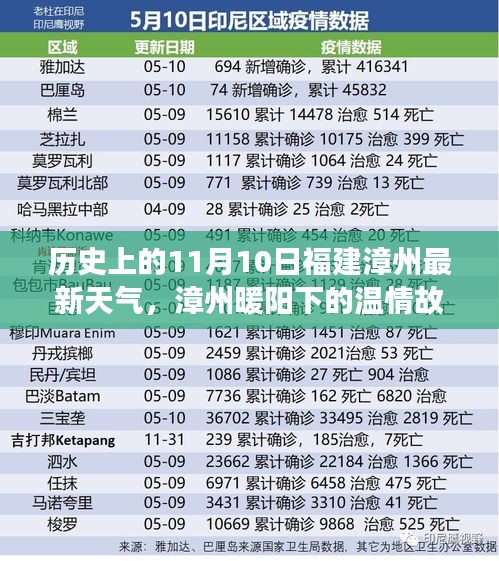 漳州暖阳下的奇遇与陪伴，历史上的11月10日温情故事与天气回顾