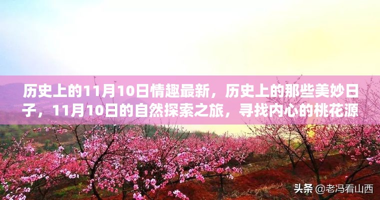 探寻历史深处的秘密，11月10日的自然探索之旅与内心桃花源之旅