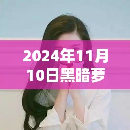 2024年11月 第478页