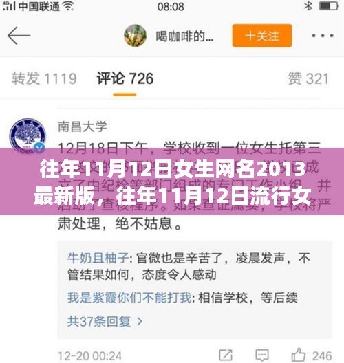 往年11月12日女生流行网名探讨，个性标签的价值与影响 2013最新版