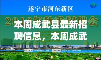 本周成武县最新招聘信息，就业机遇与挑战一览