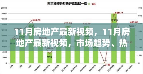 11月房地产市场趋势解读，最新视频热点解析与案例分析