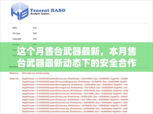 这个月售台武器最新，本月售台武器最新动态下的安全合作探析