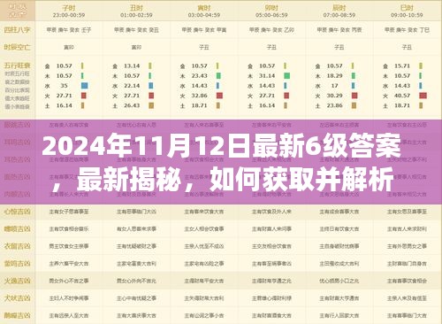 2024年11月12日六级考试答案完全指南，获取与解析最新揭秘