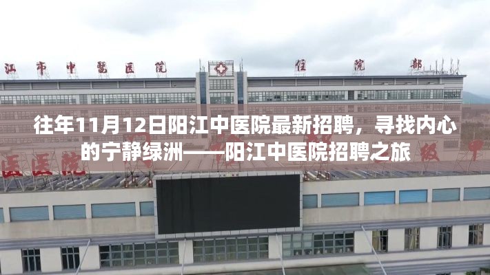 阳江中医院招聘之旅，寻找内心的宁静绿洲