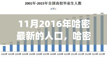 2024年11月 第462页