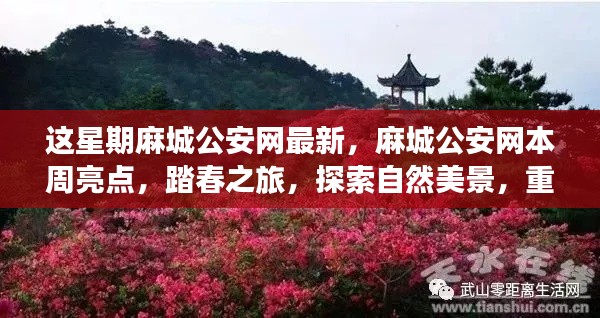 麻城公安网本周亮点，踏春探索自然美景，重拾心灵宁静之旅