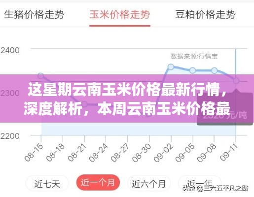 本周云南玉米价格深度解析及最新行情报告