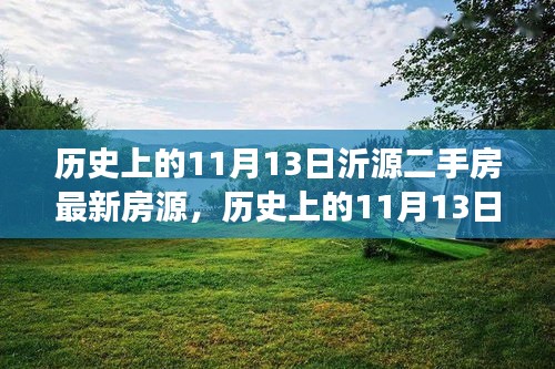 历史上的11月13日沂源二手房市场深度解析与最新房源全面评测