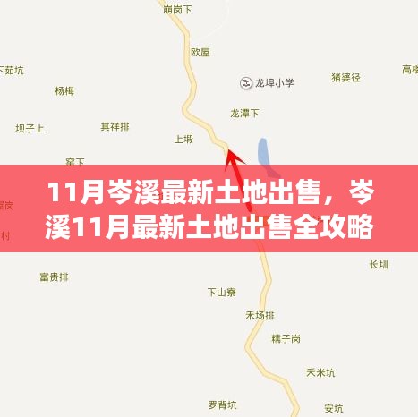 岑溪最新土地出售全攻略，购地流程轻松掌握，11月土地市场最新动态