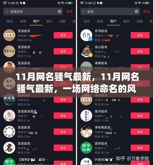 11月网名骚气最新风潮，如何看待网络命名的趋势？