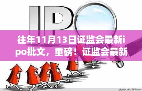 历年11月13日证监会IPO批文解读与最新动态揭秘