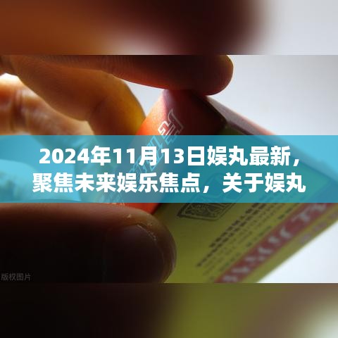 聚焦未来娱乐焦点，娱丸深度探讨2024年11月13日娱乐趋势