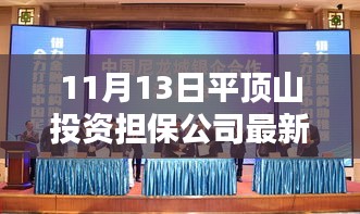 平顶山投资担保公司最新动态报道及分析（11月13日更新）