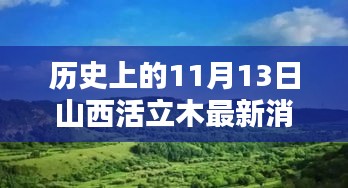 历史上的11月13日山西活立木最新消息全面解析