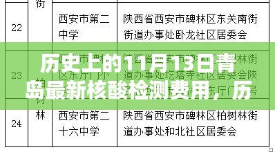 探寻青岛核酸检测费用演变，历史上的11月13日费用解析