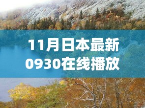 11月日本最新在线播放，自然美景与内心平静的艺术之旅