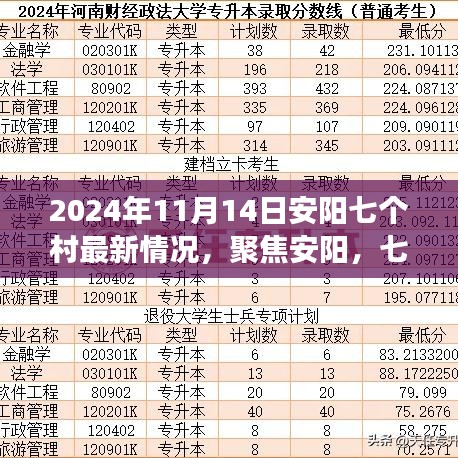 安阳七个村2024年11月14日最新发展概况概览