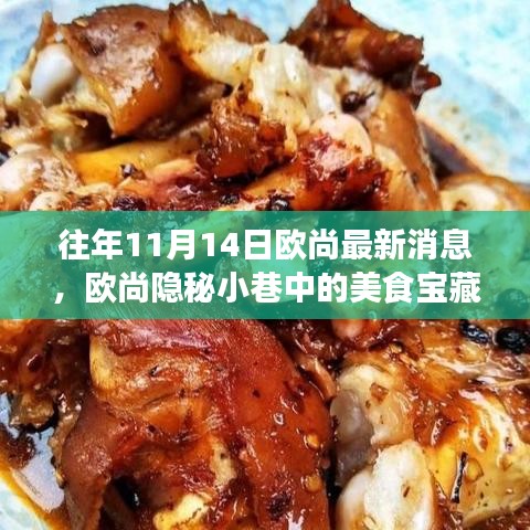 欧尚隐秘小巷美食宝藏揭秘，历年11月14日的最新消息与发现