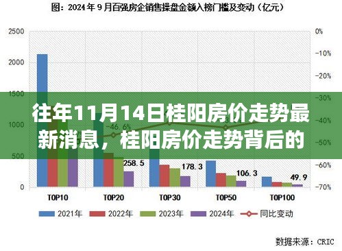 往年11月14日桂阳房价走势深度解析，探寻自然与心灵港湾的宁静之旅