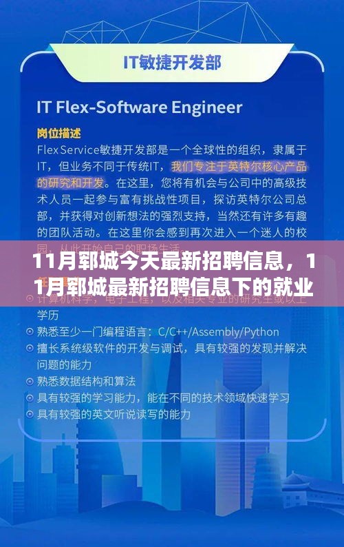 11月郓城最新招聘信息概览，就业环境及个人选择分析