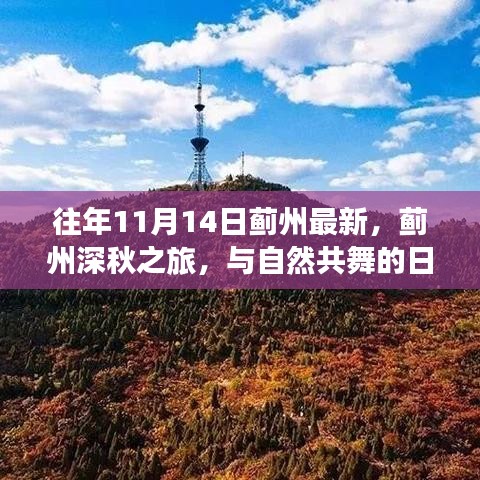 蓟州深秋之旅，与自然共舞的日子历年回顾与最新动态