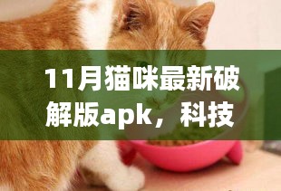 揭秘，最新科技加持下的猫咪破解版apk，生活因你而不同