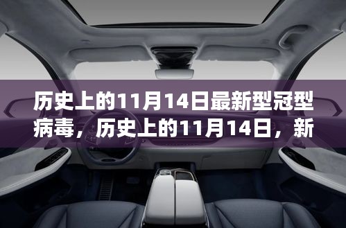 历史上的11月14日，新型冠型病毒演变的新篇章揭秘