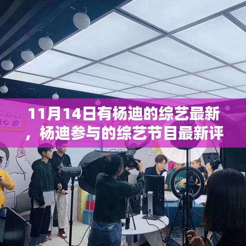 杨迪最新综艺节目评析，特性、体验与用户洞察分析，11月14日最新动态曝光