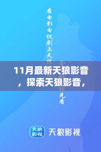 11月新功能解析与体验分享，最新天狼影音探索