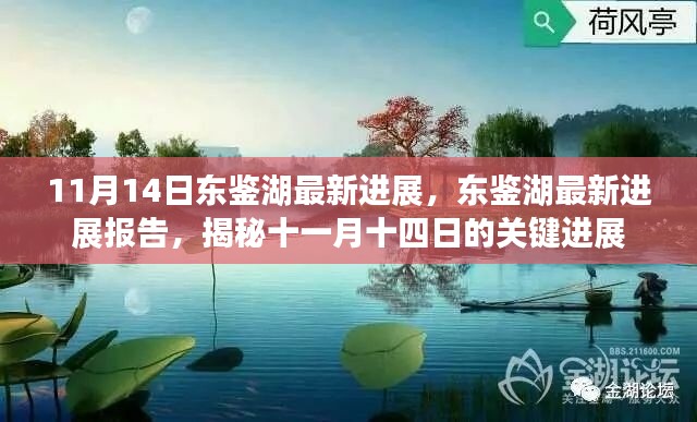 揭秘东鉴湖最新进展，十一月十四日关键进展报告揭秘！