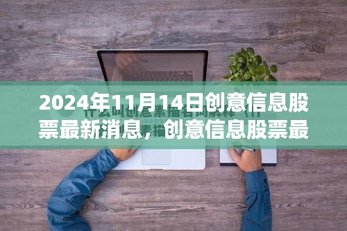 创意信息股票最新动态及机遇挑战聚焦，2024年11月14日深度解读