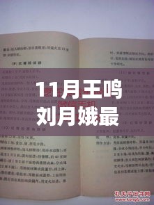 鸣月斋故事新篇章，探秘小巷深处的独特风味，王鸣与刘月娥的最新故事