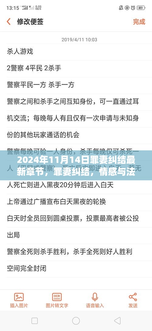 罪妻纠结，情感与法律的交织（最新章节深度解析）