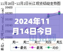 长江钼铁最新价格走势分析（2024年11月14日）