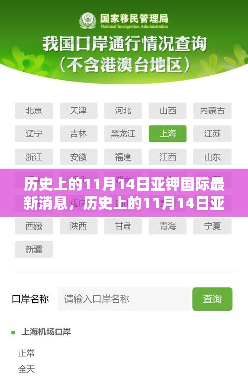 历史上的11月14日亚钾国际最新消息深度解析，产业动态与个人观点分析