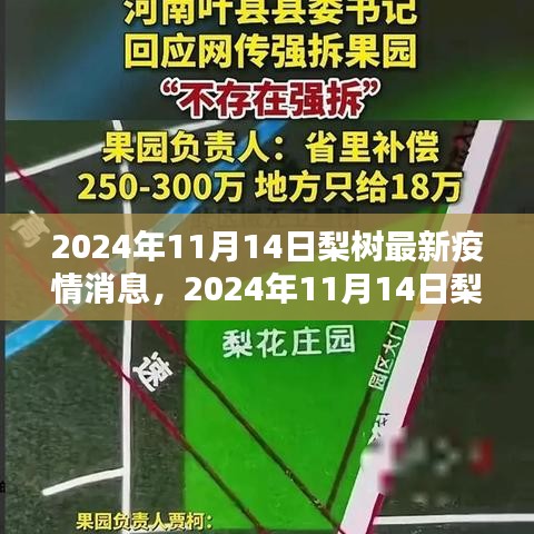 2024年11月14日梨树地区疫情最新动态及消息