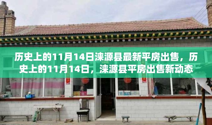 历史上的11月14日，涞源县平房出售最新动态揭秘