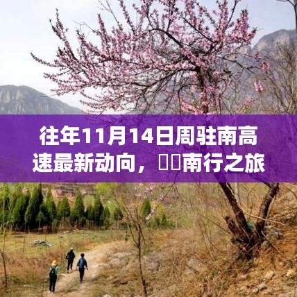 探寻周驻南高速新动向背后的自然秘境，南行之旅揭秘往年11月动态