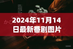 探秘小巷深处的番剧天堂，独家番剧图片店揭秘，最新番剧美图欣赏（2024年11月14日）