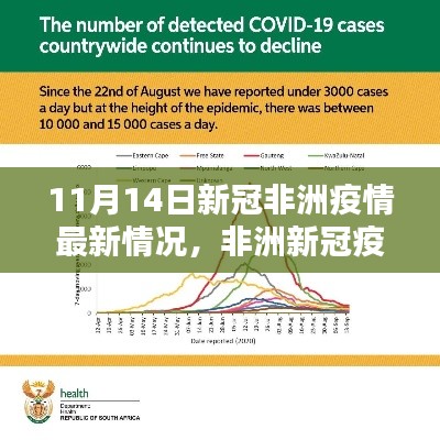 11月14日非洲新冠疫情最新动态深度解析