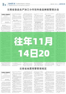 2024年11月 第384页