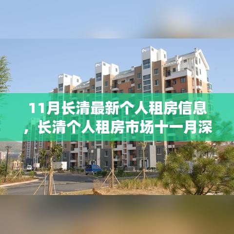 长清个人租房市场深度观察，最新动态、未来展望与十一月租房信息速递