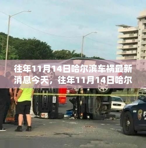 哈尔滨车祸事件深度解析，多方观点碰撞与个人立场，历年事故回顾与反思